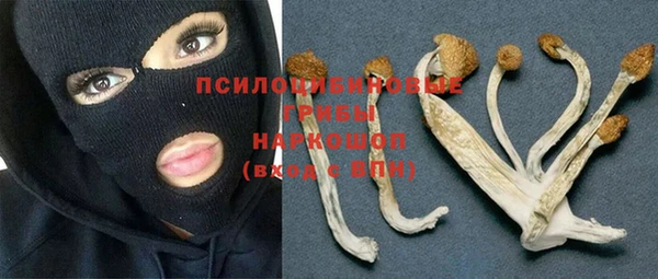марки nbome Строитель