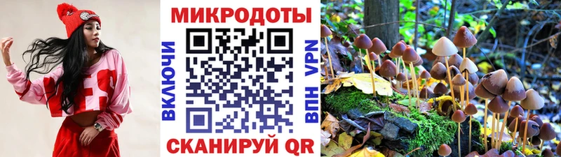 купить  цена  omg ССЫЛКА  Галлюциногенные грибы прущие грибы  Самара 