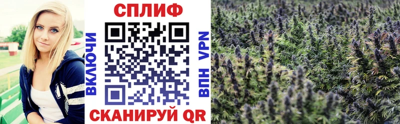 где продают   Самара  Канабис план 